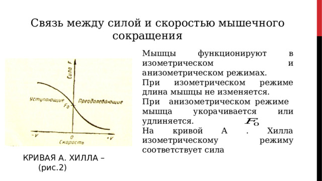 Связь между силой и скоростью мышечного сокращения Мышцы функционируют в изометрическом и анизометрическом режимах. При изометрическом режиме длина мышцы не изменяется. При анизометрическом режиме мышца укорачивается или удлиняется. На кривой А . Хилла изометрическому режиму соответствует сила КРИВАЯ А. ХИЛЛА –  (рис.2) 