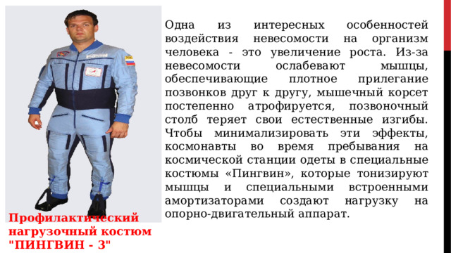 Одна из интересных особенностей воздействия невесомости на организм человека - это увеличение роста. Из-за невесомости ослабевают мышцы, обеспечивающие плотное прилегание позвонков друг к другу, мышечный корсет постепенно атрофируется, позвоночный столб теряет свои естественные изгибы. Чтобы минимализировать эти эффекты, космонавты во время пребывания на космической станции одеты в специальные костюмы «Пингвин», которые тонизируют мышцы и специальными встроенными амортизаторами создают нагрузку на опорно-двигательный аппарат. Профилактический нагрузочный костюм 