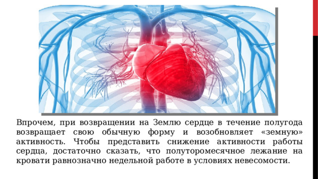 Впрочем, при возвращении на Землю сердце в течение полугода возвращает свою обычную форму и возобновляет «земную» активность. Чтобы представить снижение активности работы сердца, достаточно сказать, что полуторомесячное лежание на кровати равнозначно недельной работе в условиях невесомости. 