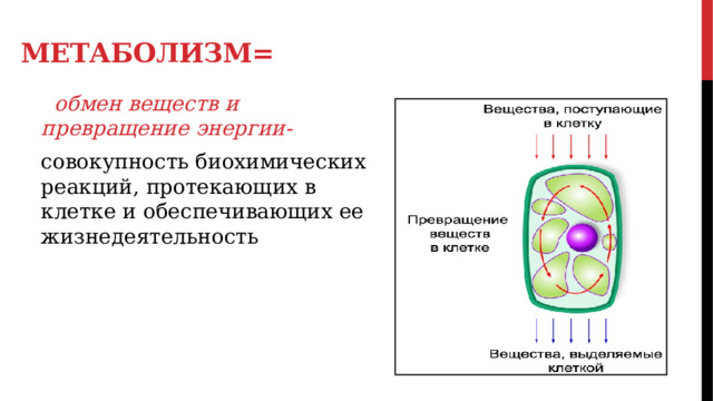 Метаболизм=  обмен веществ и превращение энергии- совокупность биохимических реакций, протекающих в клетке и обеспечивающих ее жизнедеятельность 