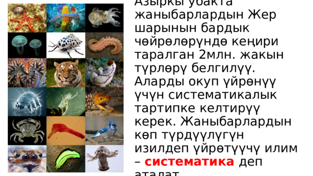 Азыркы убакта жаныбарлардын Жер шарынын бардык чөйрөлөрүндө кеңири таралган 2млн. жакын түрлөрү белгилүү. Аларды окуп үйрөнүү үчүн систематикалык тартипке келтирүү керек. Жаныбарлардын көп түрдүүлүгүн изилдеп үйрөтүүчү илим – систематика деп аталат. 