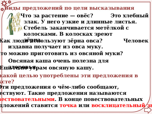 Виды предложений по цели высказывания Что за растение — овёс?  Это хлебный злак. У него узкие и длинные листья. Стебель заканчивается метёлкой с колосками. В колосках зреют зёрна.    Как люди используют зёрна овса?  Человек издавна получает из овса муку.  Что можно приготовить из овсяной муки? Овсяная каша очень полезна для здоровья. Ешьте по утрам овсяную кашу.  С какой целью употреблены эти предложения в  тексте?  Эти предложения о чём-либо сообщают, повествуют. Такие предложения называются  повествовательными . В конце повествовательных предложений ставится точка или восклицательный знак . 