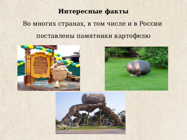 Интересные факты Во многих странах, в том числе и в России поставлены памятники картофелю 