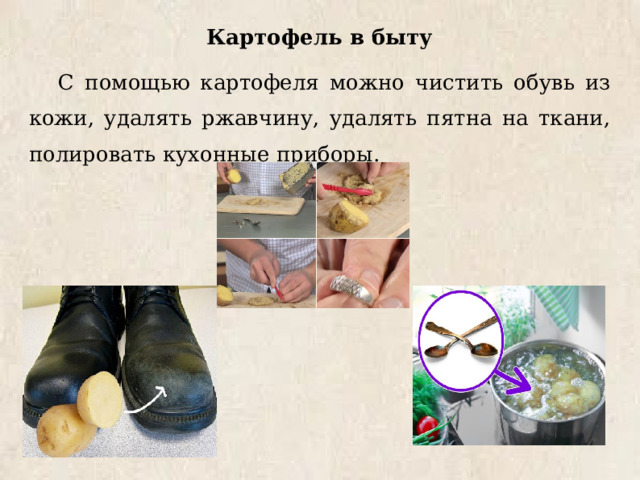 Картофель в быту С помощью картофеля можно чистить обувь из кожи, удалять ржавчину, удалять пятна на ткани, полировать кухонные приборы. 