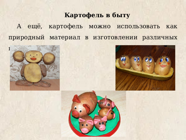 Картофель в быту А ещё, картофель можно использовать как природный материал в изготовлении различных поделок. 
