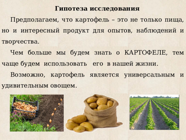 Гипотеза исследования Предполагаем, что картофель – это не только пища, но и интересный продукт для опытов, наблюдений и творчества. Чем больше мы будем знать о КАРТОФЕЛЕ, тем чаще будем использовать его в нашей жизни. Возможно, картофель является универсальным и удивительным овощем. 