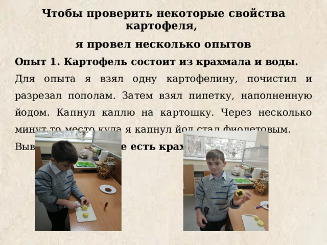 Чтобы проверить некоторые свойства картофеля, я провел несколько опытов Опыт 1. Картофель состоит из крахмала и воды. Для опыта я взял одну картофелину, почистил и разрезал пополам. Затем взял пипетку, наполненную йодом. Капнул каплю на картошку. Через несколько минут то место куда я капнул йод стал фиолетовым. Вывод: В картофеле есть крахмал.    
