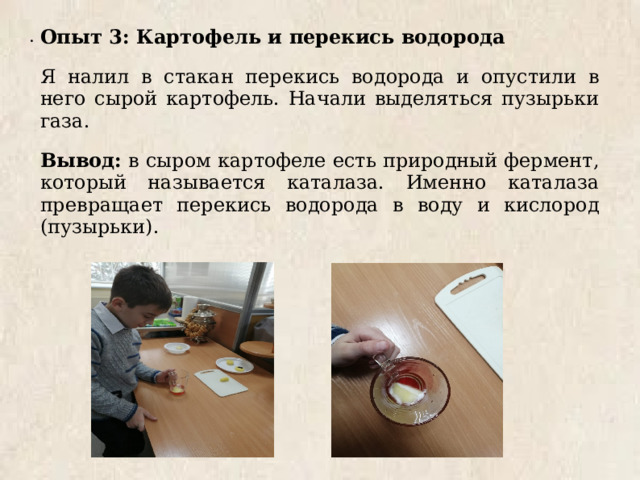 . Опыт 3: Картофель и перекись водорода Я налил в стакан перекись водорода и опустили в него сырой картофель. Начали выделяться пузырьки газа. Вывод: в сыром картофеле есть природный фермент, который называется каталаза. Именно каталаза превращает перекись водорода в воду и кислород (пузырьки). 