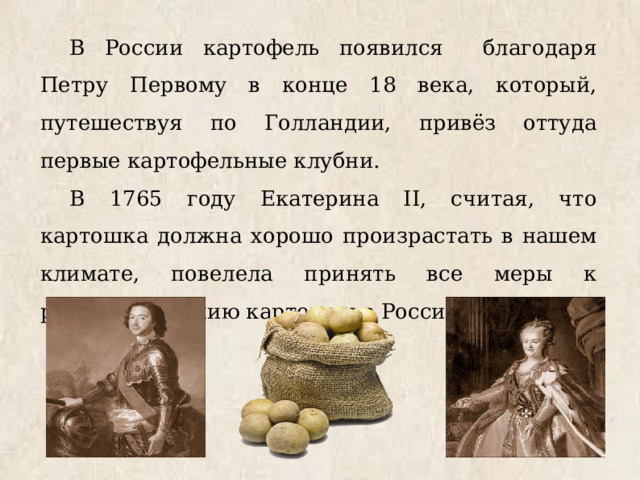В России картофель появился благодаря Петру Первому в конце 18 века, который, путешествуя по Голландии, привёз оттуда первые картофельные клубни. В 1765 году Екатерина II, считая, что картошка должна хорошо произрастать в нашем климате, повелела принять все меры к распространению картошки в России. 