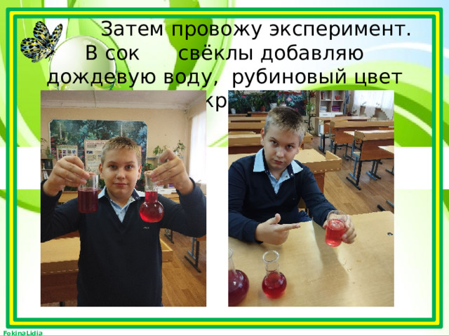  Затем провожу эксперимент. В сок свёклы добавляю дождевую воду, рубиновый цвет стал красным. 
