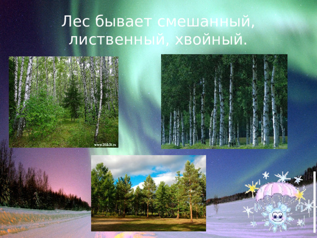 Лес бывает смешанный, лиственный, хвойный. 