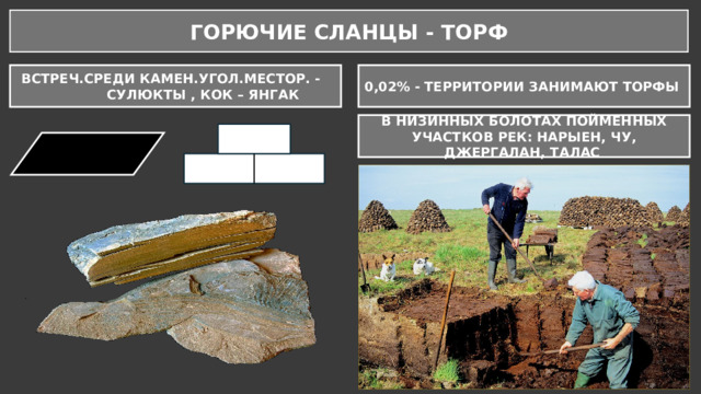 ГОРЮЧИЕ СЛАНЦЫ - ТОРФ  ВСТРЕЧ.СРЕДИ КАМЕН.УГОЛ.МЕСТОР. - СУЛЮКТЫ , КОК – ЯНГАК 0,02% - ТЕРРИТОРИИ ЗАНИМАЮТ ТОРФЫ В НИЗИННЫХ БОЛОТАХ ПОЙМЕННЫХ УЧАСТКОВ РЕК: НАРЫЕН, ЧУ, ДЖЕРГАЛАН, ТАЛАС 