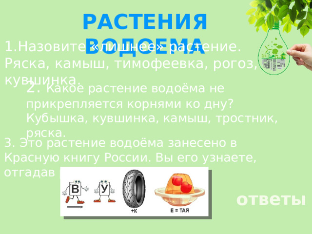 РАСТЕНИЯ ВОДОЕМА 1.Назовите «лишнее» растение. Ряска, камыш, тимофеевка, рогоз, кувшинка. 2. Какое растение водоёма не прикрепляется корнями ко дну? Кубышка, кувшинка, камыш, тростник, ряска. 3. Это растение водоёма занесено в Красную книгу России. Вы его узнаете, отгадав ребус. ответы 