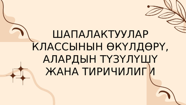 ШАПАЛАКТУУЛАР КЛАССЫНЫН ӨКҮЛДӨРҮ, АЛАРДЫН ТҮЗҮЛҮШҮ ЖАНА ТИРИЧИЛИГИ 