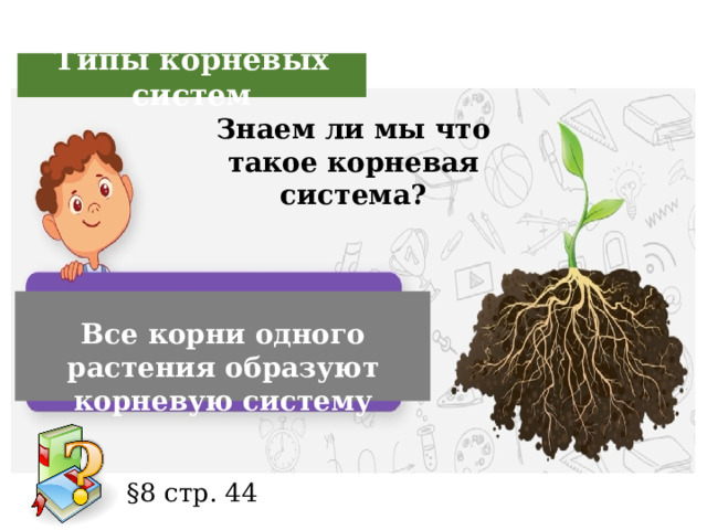 Типы корневых систем Знаем ли мы что такое корневая система? Все корни одного растения образуют корневую систему §8 стр. 44 