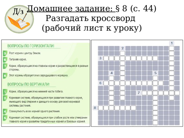 Домашнее задание: § 8 (с. 44) Разгадать кроссворд (рабочий лист к уроку) 18 