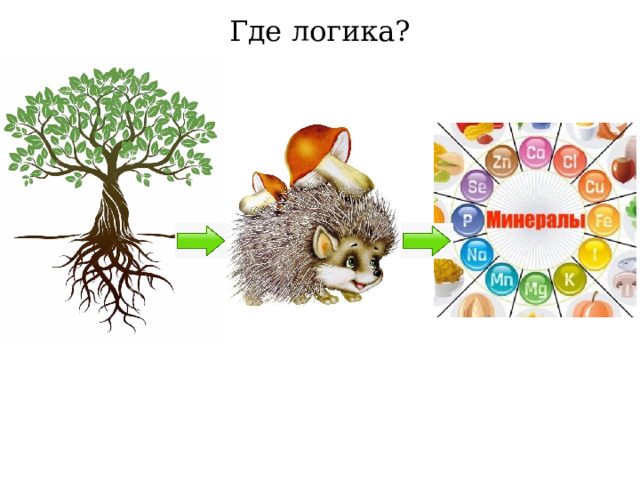Где логика? Хомяк с раздутыми щеками, ежик с яблоком (запас)+Корень дерева+Витамины  