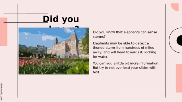 Did you know? Did you know that elephants can sense storms? Elephants may be able to detect a thunderstorm from hundreds of miles away, and will head towards it, looking for water. You can add a little bit more information. But try to not overload your slides with text. 