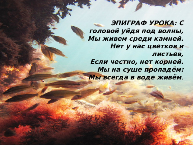 ЭПИГРАФ УРОКА: С головой уйдя под волны,  Мы живем среди камней.  Нет у нас цветков и листьев,  Если честно, нет корней.  Мы на суше пропадём:  Мы всегда в воде живём . 