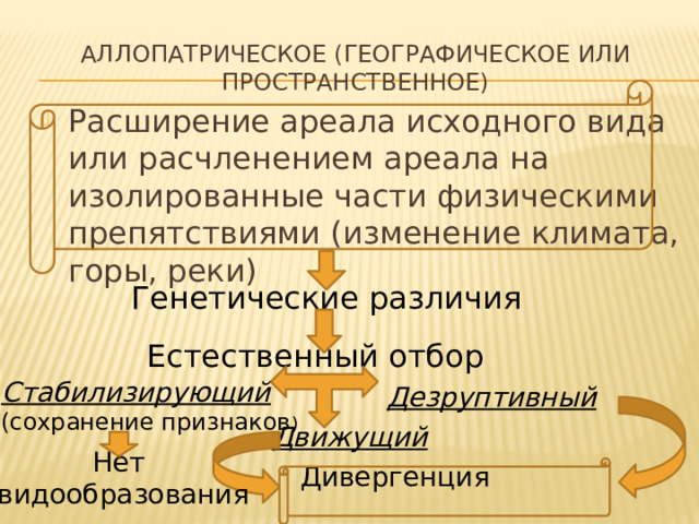 Аллопатрическое (географическое или  пространственное) Расширение ареала исходного вида или расчленением ареала на изолированные части физическими препятствиями (изменение климата, горы, реки) Генетические различия Естественный отбор Стабилизирующий (сохранение признаков ) Дезруптивный Движущий Нет  видообразования Дивергенция  (расхождение)признаков 