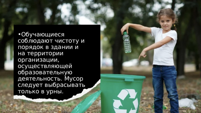 Обучающиеся соблюдают чистоту и порядок в здании и на территории организации, осуществляющей образовательную деятельность. Мусор следует выбрасывать только в урны. 
