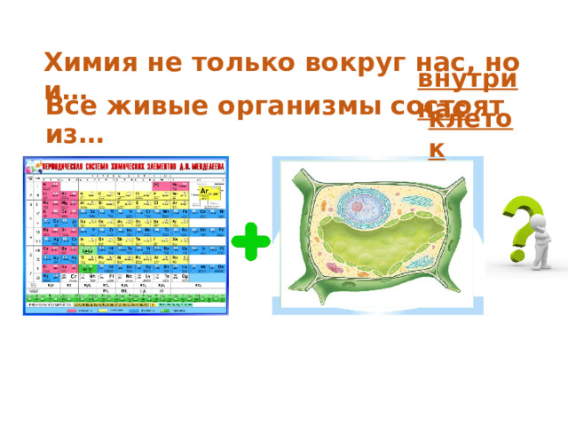 Химия не только вокруг нас, но и… внутри нас Все живые организмы состоят из… клеток 