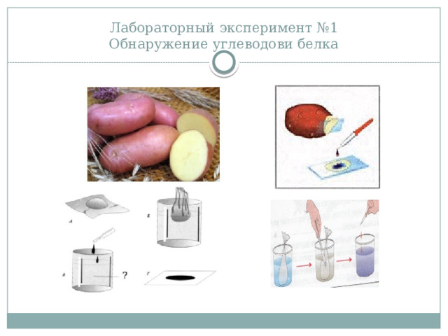 Лабораторный эксперимент №1  Обнаружение углеводови белка 
