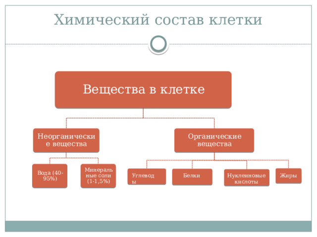 Химический состав клетки Вещества в клетке Органические вещества Неорганические вещества Минеральные соли (1-1,5%) Вода (40-95%) Углеводы Белки Жиры Нуклеиновые кислоты  