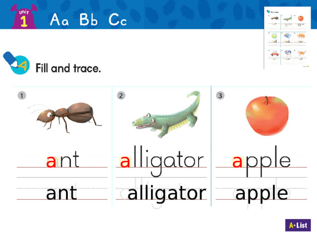 a a a ant alligator apple 