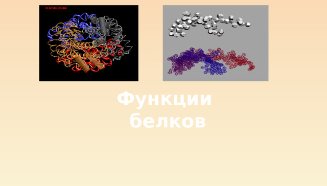 Функции белков 