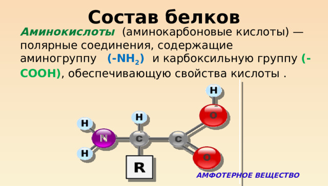 Состав белков  Аминокислоты  (аминокарбоновые кислоты) — полярные соединения, содержащие аминогруппу  (-NH 2 ) и карбоксильную группу (-COOH) , обеспечивающую свойства кислоты . АМФОТЕРНОЕ ВЕЩЕСТВО 