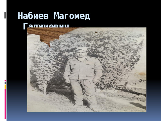 Набиев Магомед  Гаджиевич  