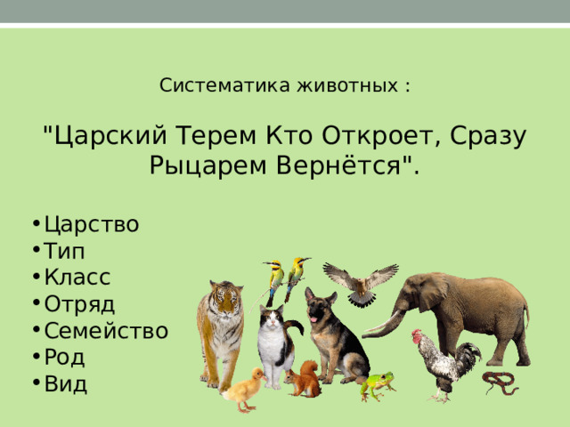 Систематика животных :   