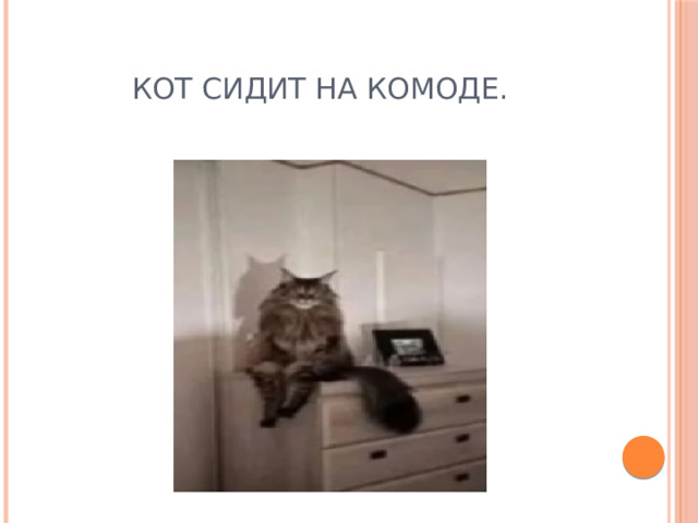 Кот сидит на комоде. 