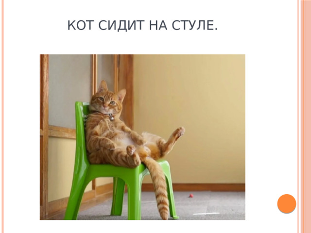 Кот сидит на стуле. 