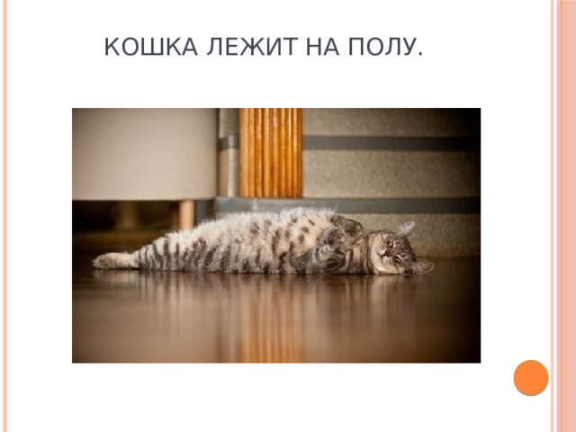 Кошка лежит на полу. 