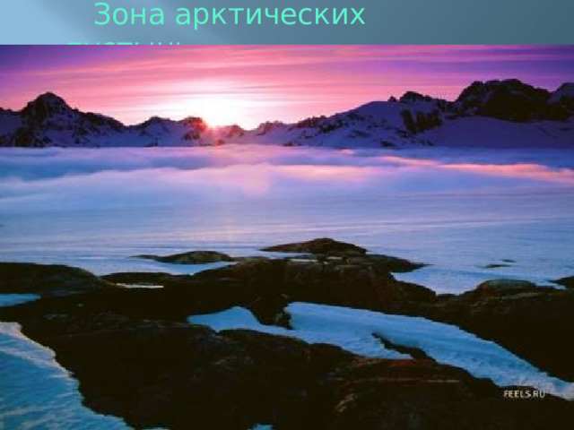 Зона арктических пустынь . 