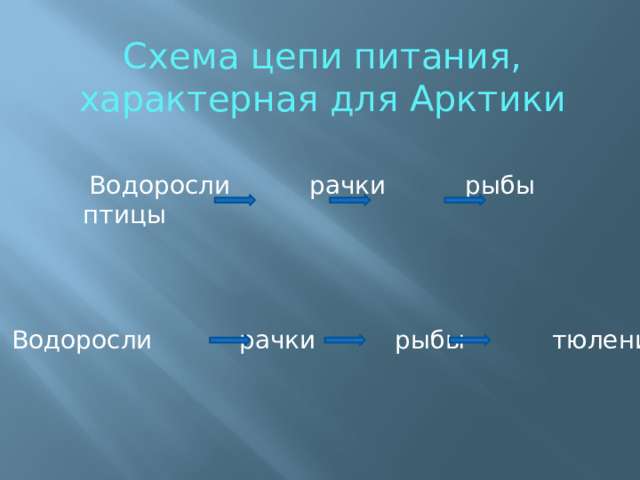 Схема цепи питания, характерная для Арктики Водоросли рачки рыбы птицы Водоросли рачки рыбы тюлени 