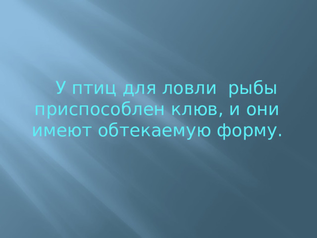 У птиц для ловли рыбы приспособлен клюв, и они имеют обтекаемую форму. 