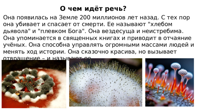 О чем идёт речь? Она появилась на Земле 200 миллионов лет назад. С тех пор она убивает и спасает от смерти. Ее называют 