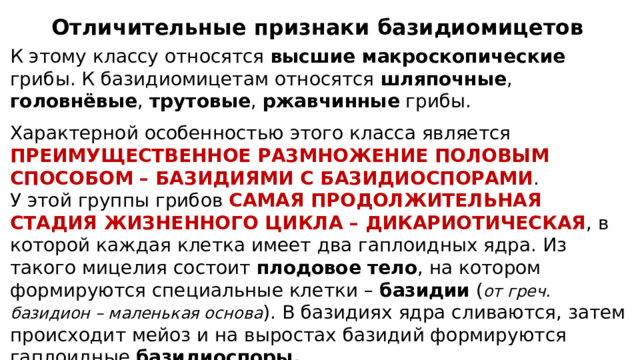 Отличительные признаки базидиомицетов К этому классу относятся высшие макроскопические грибы. К базидиомицетам относятся шляпочные , головнёвые , трутовые , ржавчинные грибы. Характерной особенностью этого класса является ПРЕИМУЩЕСТВЕННОЕ РАЗМНОЖЕНИЕ ПОЛОВЫМ СПОСОБОМ – БАЗИДИЯМИ С БАЗИДИОСПОРАМИ . У этой группы грибов САМАЯ ПРОДОЛЖИТЕЛЬНАЯ СТАДИЯ ЖИЗНЕННОГО ЦИКЛА – ДИКАРИОТИЧЕСКАЯ , в которой каждая клетка имеет два гаплоидных ядра. Из такого мицелия состоит плодовое тело , на котором формируются специальные клетки – базидии ( от греч. базидион – маленькая основа ). В базидиях ядра сливаются, затем происходит мейоз и на выростах базидий формируются гаплоидные базидиоспоры. 