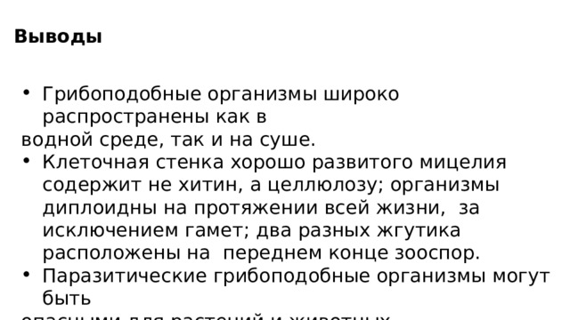 Выводы Грибоподобные организмы широко распространены как в водной среде, так и на суше. Клеточная стенка хорошо развитого мицелия содержит не хитин, а целлюлозу; организмы диплоидны на протяжении всей жизни, за исключением гамет; два разных жгутика расположены на переднем конце зооспор. Паразитические грибоподобные организмы могут быть опасными для растений и животных. 