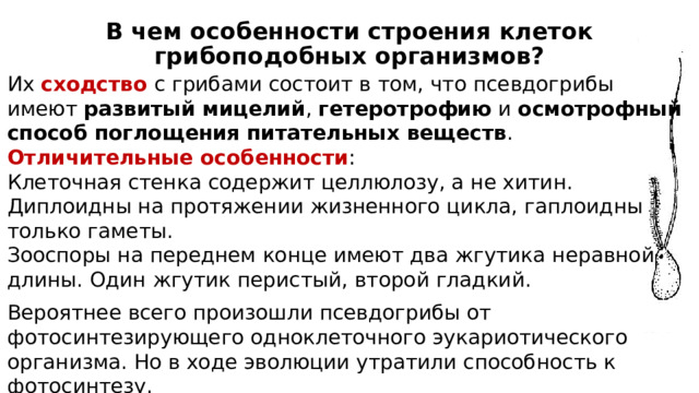 В чем особенности строения клеток грибоподобных организмов? Их сходство с грибами состоит в том, что псевдогрибы имеют развитый мицелий , гетеротрофию и осмотрофный способ поглощения питательных веществ . Отличительные особенности : Клеточная стенка содержит целлюлозу, а не хитин. Диплоидны на протяжении жизненного цикла, гаплоидны только гаметы. Зооспоры на переднем конце имеют два жгутика неравной длины. Один жгутик перистый, второй гладкий. Вероятнее всего произошли псевдогрибы от фотосинтезирующего одноклеточного эукариотического организма. Но в ходе эволюции утратили способность к фотосинтезу. 