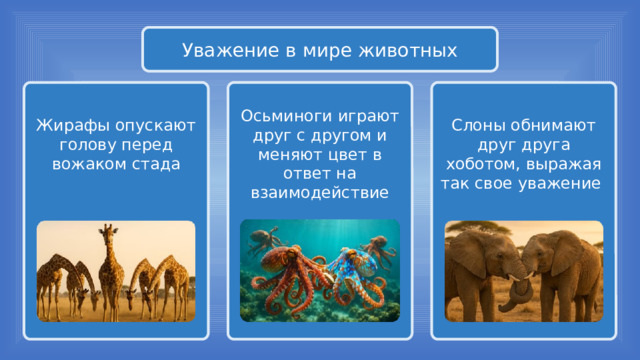 Уважение в мире животных Осьминоги играют друг с другом и меняют цвет в ответ на взаимодействие Слоны обнимают друг друга хоботом, выражая так свое уважение Жирафы опускают голову перед вожаком стада 