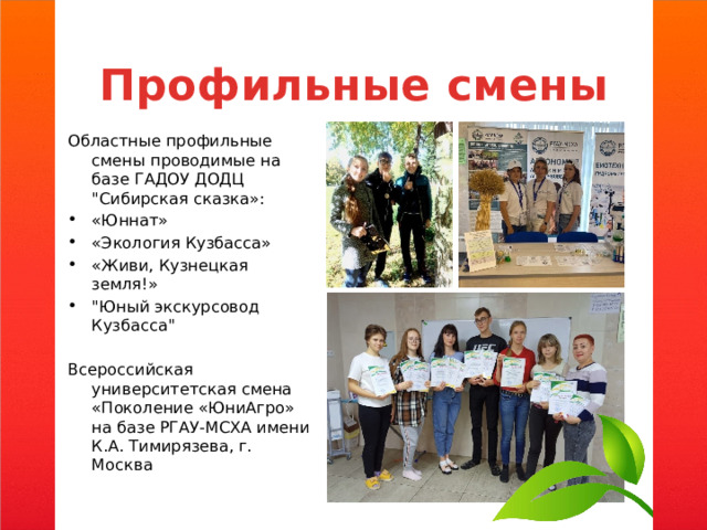 Профильные смены Областные профильные смены проводимые на базе ГАДОУ ДОДЦ 