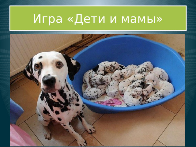 Игра «Дети и мамы» 