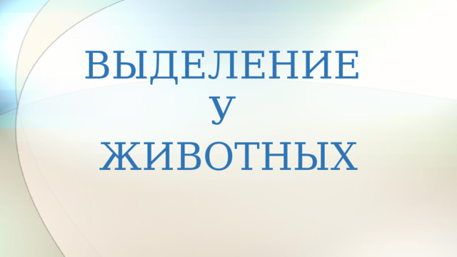 ВЫДЕЛЕНИЕ  У  ЖИВОТНЫХ  