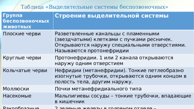 Таблица «Выделительные системы беспозвоночных» Группа беспозвоночных животных Строение выделительной системы Плоские черви Разветвленные канальцы с пламенными (звездчатыми) клетками с пучками ресничек. Открываются наружу специальными отверстиями. Называются протонефридии Круглые черви Протонефридии. 1 или 2 канала открываются наружу одним отверстием Кольчатые черви Нефридии (метанефридии). Тонкие петлеобразно изогнутые трубочки, открываются одним концом в полость тела, другим наружу. Моллюски Почки метанефридиального типа Насекомые Мальпигиевы сосуды – тонкие трубочки, впадающие в кишечник Ракообразные 2 зеленые железы в головном отделе – видоизмененные метанефридии 