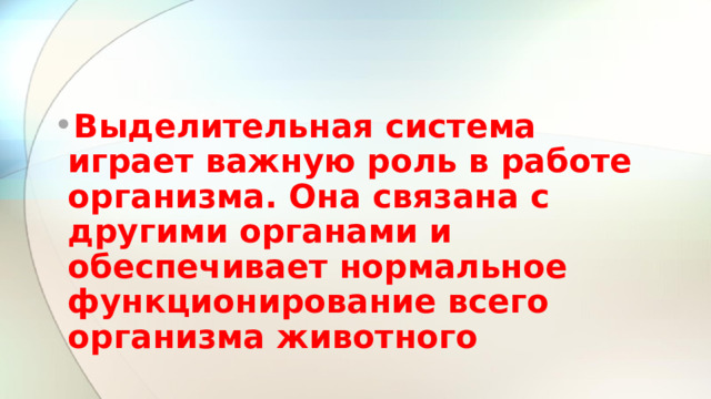 Выделительная система играет важную роль в работе организма. Она связана с другими органами и обеспечивает нормальное функционирование всего организма животного 