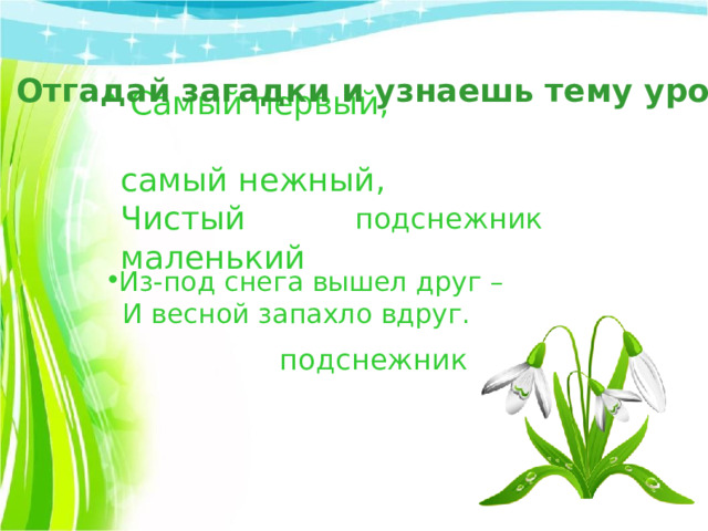 Отгадай загадки и узнаешь тему урока  Самый первый, самый нежный,  Чистый маленький   подснежник Из-под снега вышел друг –  И весной запахло вдруг. подснежник 